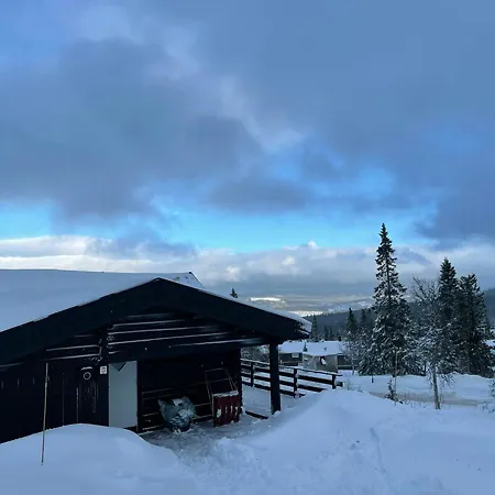 Log With Views Over Mountain *